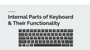 Internal Parts of Keyboard thumbnail