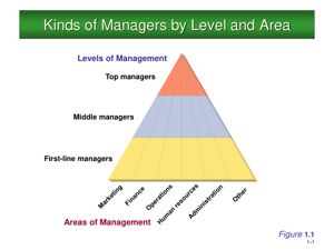 Kinds of Managers by Level and Area thumbnail